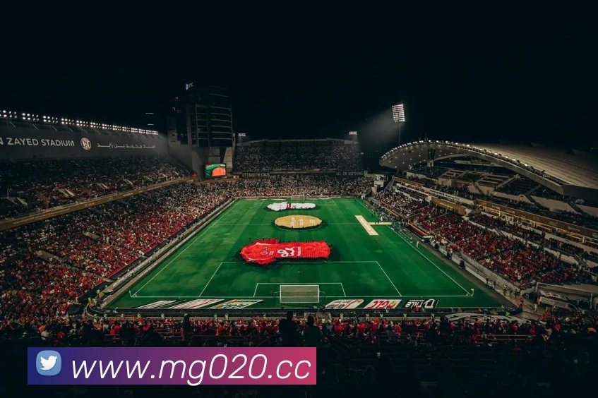 体育直播服务